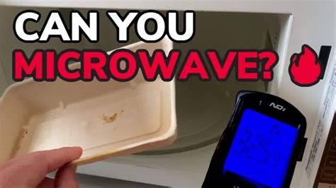 Can You Microwave Paper to Go Boxes? And Why Do They Smell Like Rainforests After?