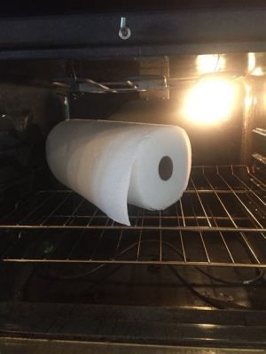 Can You Put Paper Towels in Microwave? Exploring the Unlikely Connection Between Kitchen Safety and Quantum Physics