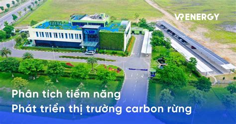 Carbon Nanotubes: Khai phá tiềm năng phi thường trong lĩnh vực vật liệu tiên tiến!