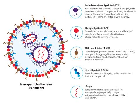 Lipid Nanoparticles: Thúc Đẩy Khả Năng Thuốc Mục Tiêu & Tăng Hiệu Quả Liệu Pháp!