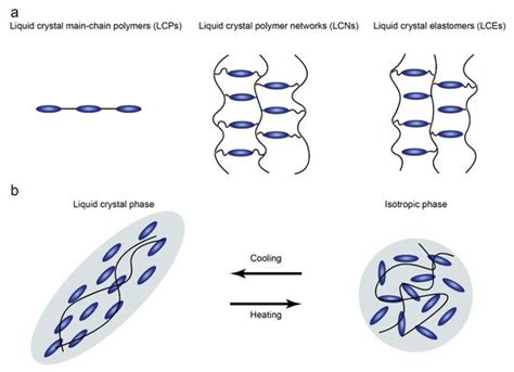  Liquid Crystal Polymer: Liệu bạn đã biết về chất liệu siêu bền và chịu nhiệt này?