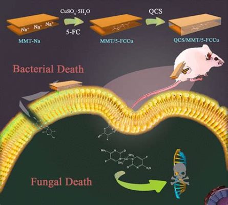 Quaternized Chitosan: Unleashing Biocompatibility and Antimicrobial Prowess in Tissue Engineering