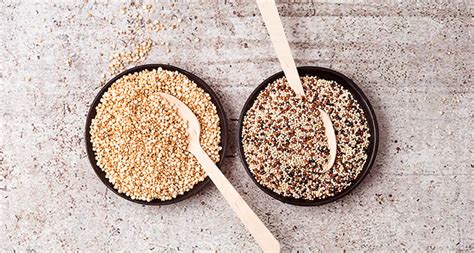 Quinoa: Thực phẩm Siêu dinh dưỡng và Nguyên liệu Bổ sung Giá trị Cho ngành Thực phẩm!