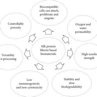  Silk Fibroin: A Revolutionary Material for Regenerative Medicine and Sustainable Textiles?