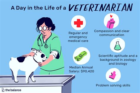 What Type of Education Does a Veterinarian Need? And Why Do Cats Always Land on Their Feet?