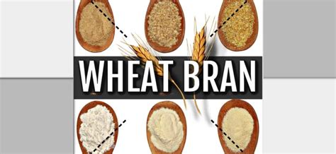  Wheat Bran: Khám Phá Nguồn Tài Nguyên Mạnh Mẽ cho Chế Biến Thực Phẩm & Sức Khoẻ Con Người!