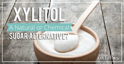  Xylitol – Hóa chất Tự Nhiên và Giải Pháp Thay Thế Đáng Chú Ý Trong Công Nghiệp Thực Phẩm!